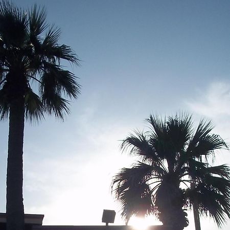 דל ריו Whispering Palms Inn מראה חיצוני תמונה