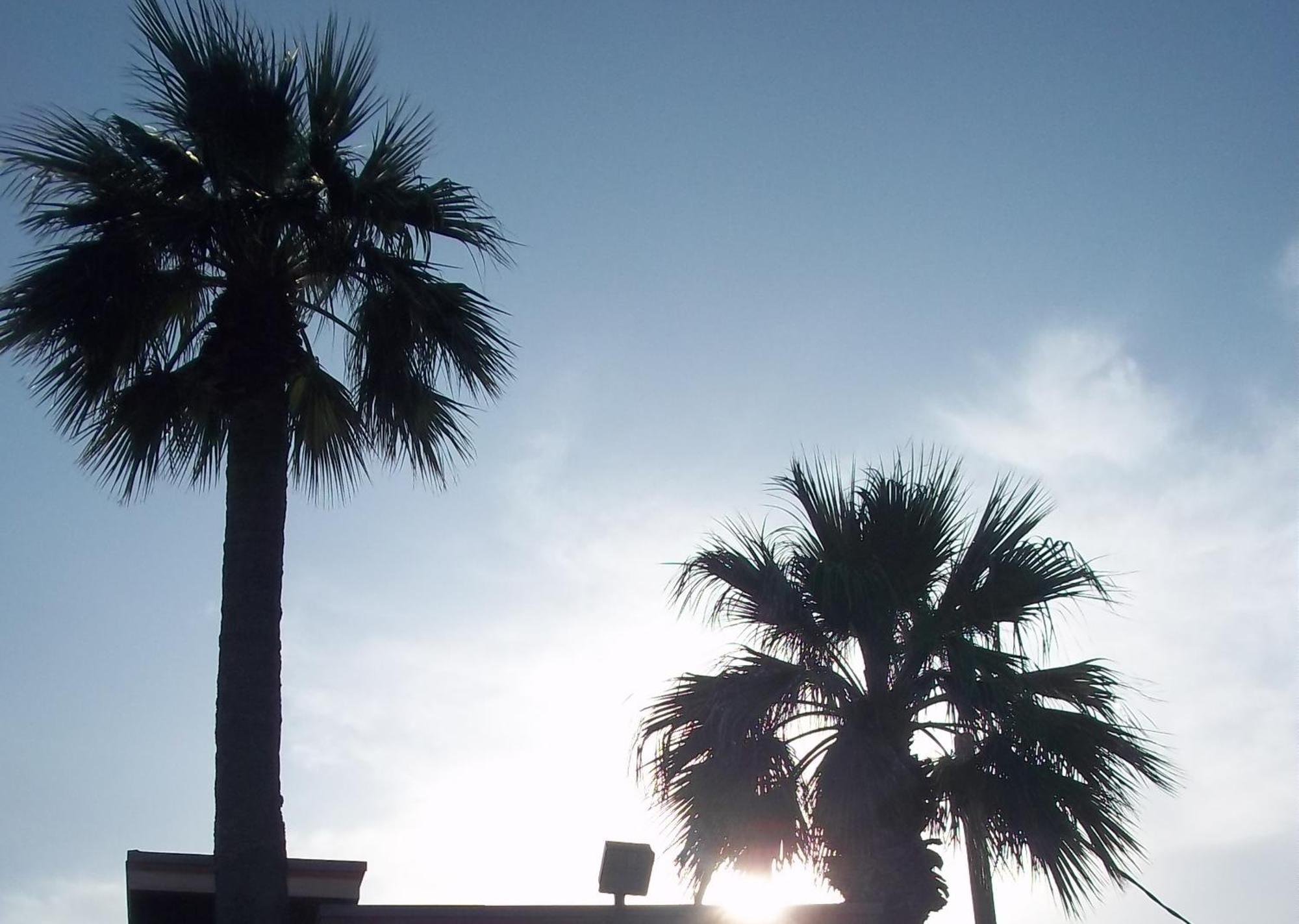 דל ריו Whispering Palms Inn מראה חיצוני תמונה